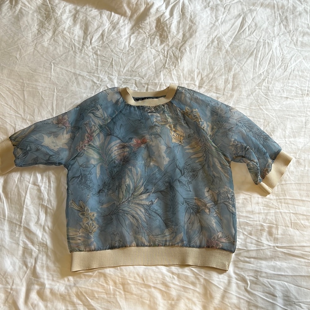 Zara sheer shirt